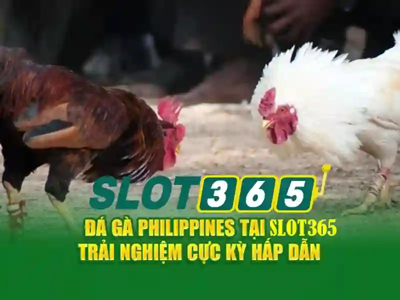 Tiện ích và trải nghiệm người dùng