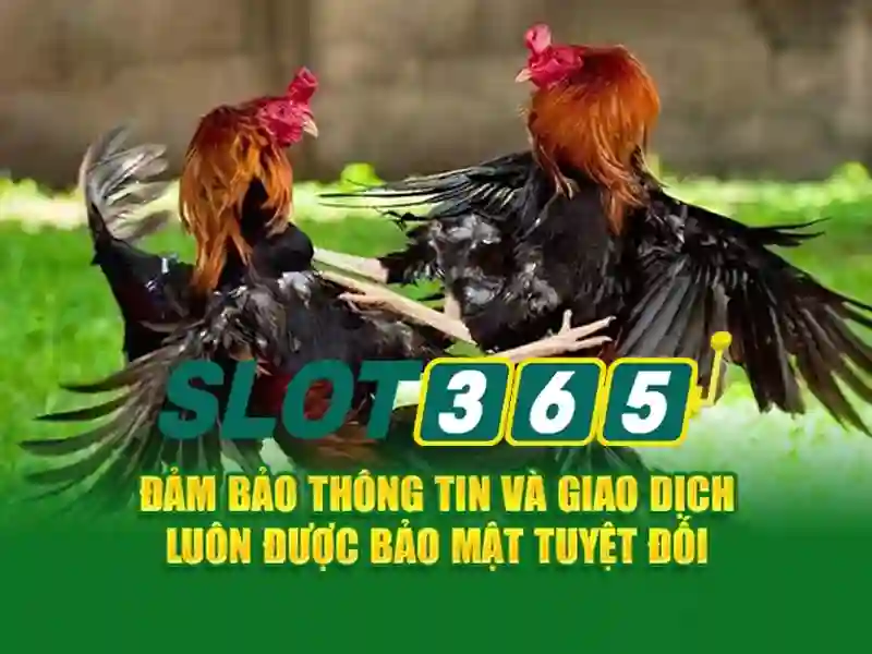 Khuyến mãi và bảo mật