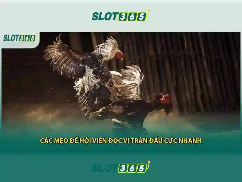 Slot365: Trải nghiệm chơi xèng trực tuyến đỉnh cao