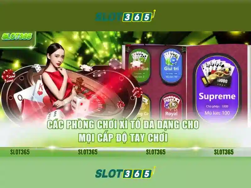 Slot365 là gì? Slot365 là gì?
