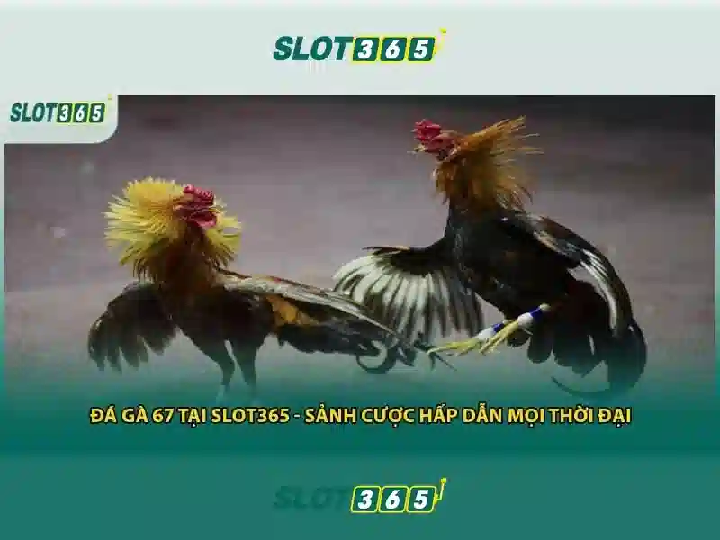 Đặc điểm nổi bật của Slot365 Đặc điểm nổi bật của Slot365