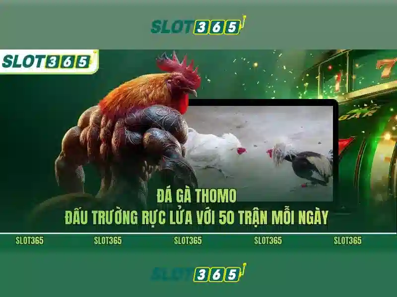 Slot365: Trải nghiệm casino trực tuyến đỉnh cao tại Việt Nam