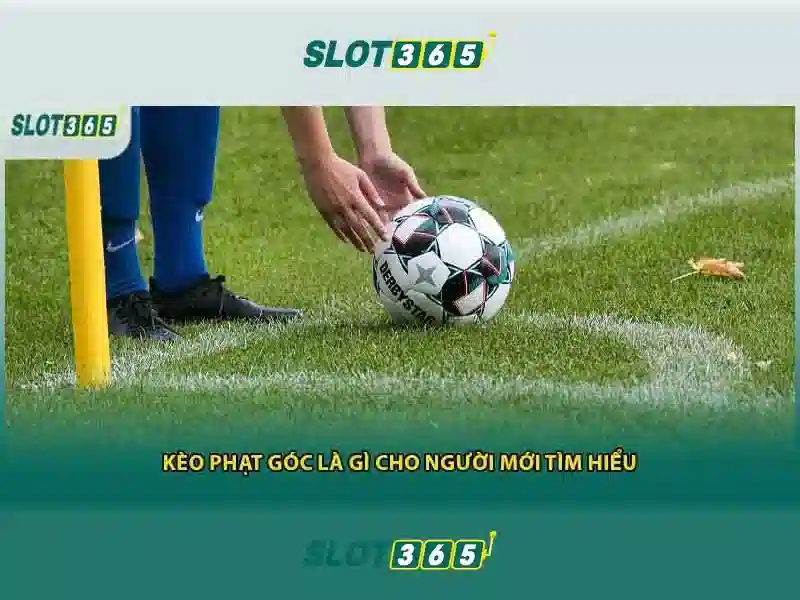Slot365: Đánh giá nền tảng máy đánh bạc trực tuyến