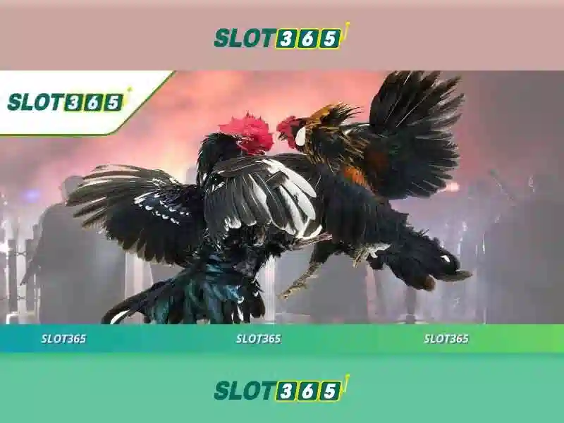 Slot365 - Cổng chơi slot trực tuyến đáng tin cậy