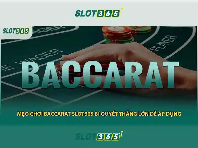 Slot365 - Nền tảng giải trí trực tuyến hàng đầu