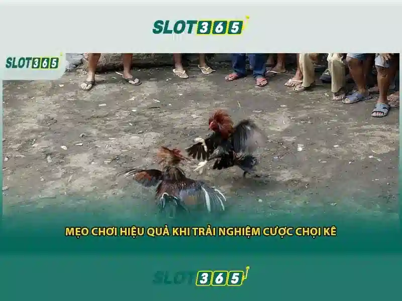 Giao diện người dùng thân thiện và tối ưu di động Giao diện người dùng thân thiện và tối ưu di động