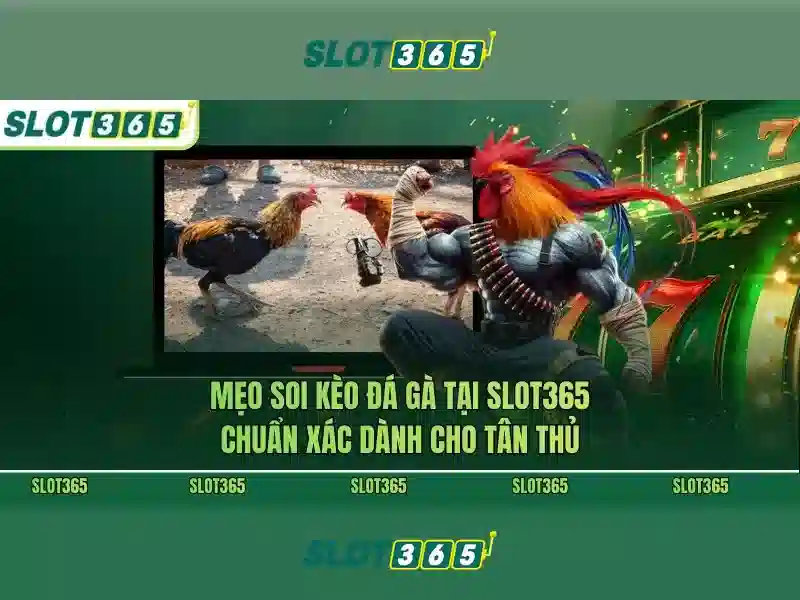 Hỗ trợ khách hàng và hệ sinh thái cộng đồng Hỗ trợ khách hàng và hệ sinh thái cộng đồng