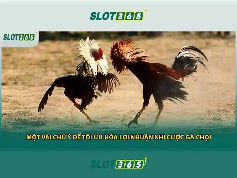 An toàn, bảo mật và thanh toán nhanh