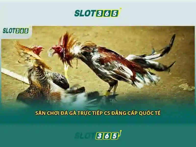 Ưu đãi và chương trình thưởng Ưu đãi và chương trình thưởng
