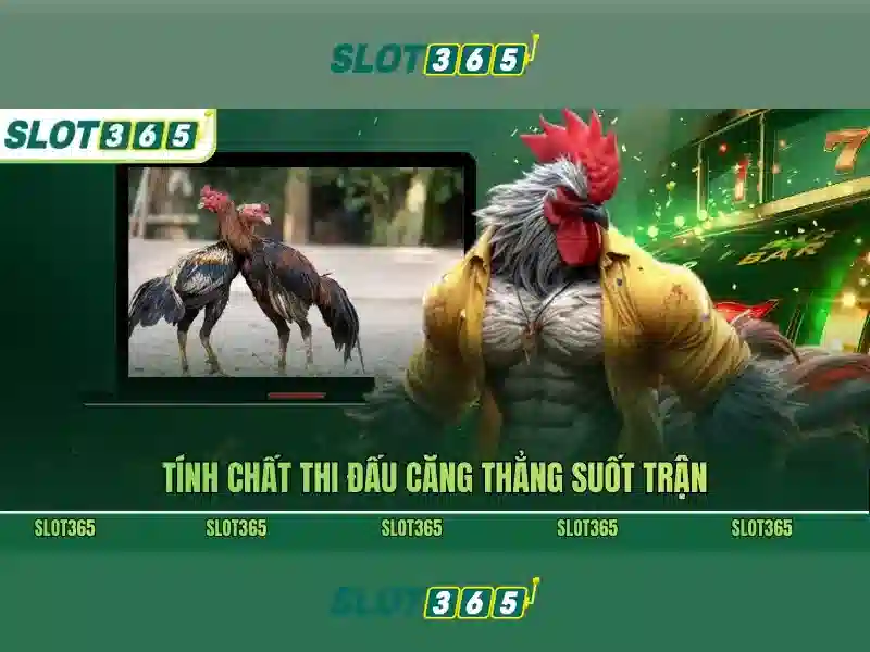 Mẹo chơi bắn cá 3 cây dễ ăn tiền nhà cái