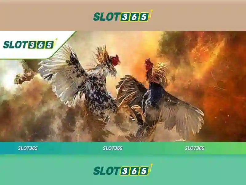 Slot365: Trải nghiệm slot trực tuyến đáng tin cậy và đầy màu sắc
