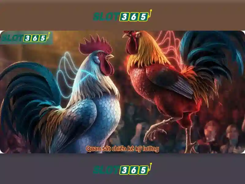Trải nghiệm người chơi đỉnh cao Trải nghiệm người chơi đỉnh cao