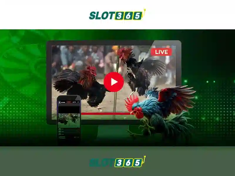 Slot365: Nền tảng slot trực tuyến uy tín và mới nhất