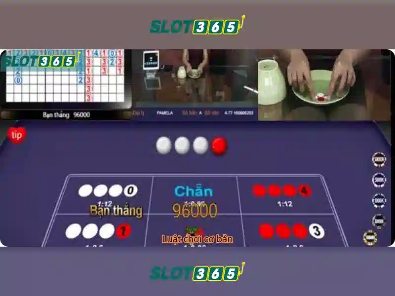 Slot365 - Trải nghiệm slots trực tuyến đáng chú ý