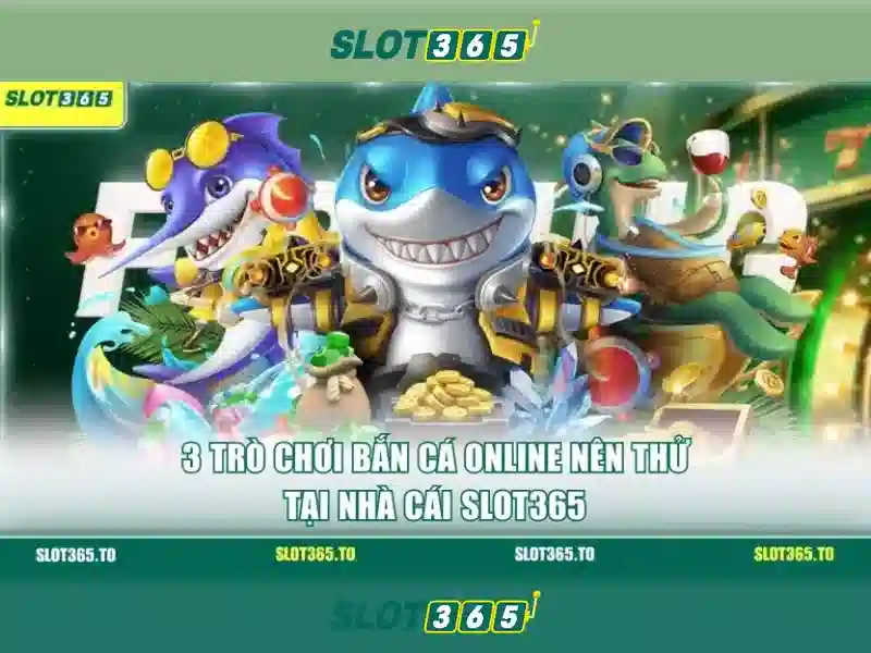 Slot365 là gì? Slot365 là gì?