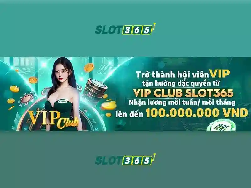 Slot365 là gì? Slot365 là gì?
