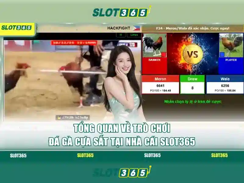Hướng dẫn đăng ký và nạp tiền