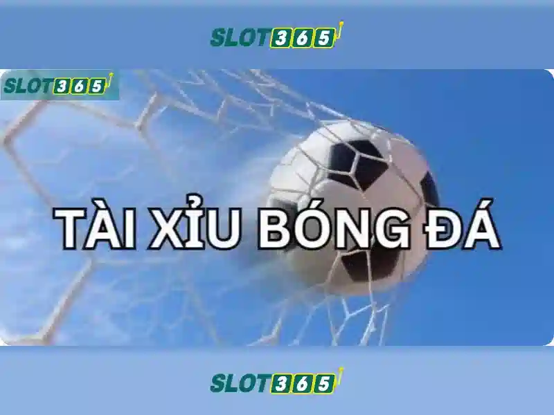 Slot365 là gì? Slot365 là gì?
