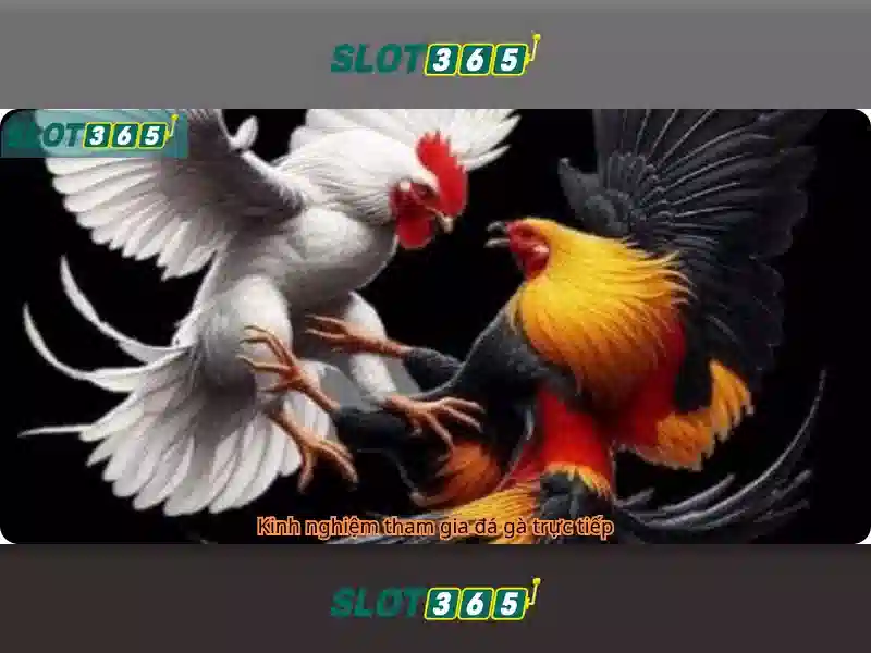An toàn, bảo mật và thanh toán Slot365