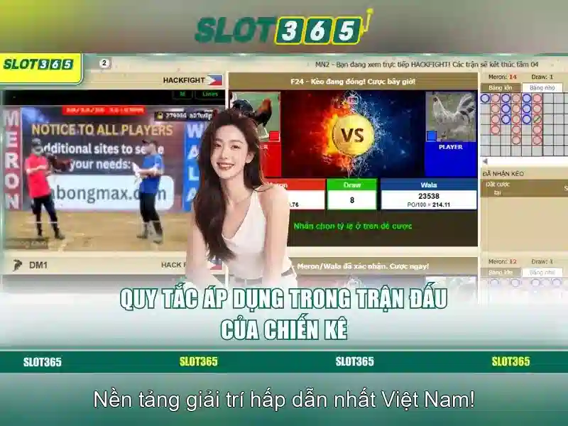 Khuyến mãi và chương trình thưởng