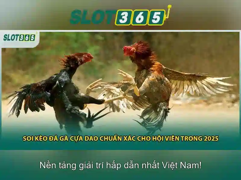 Mẹo chơi bắn cá 3 cây dễ ăn tiền nhà cái