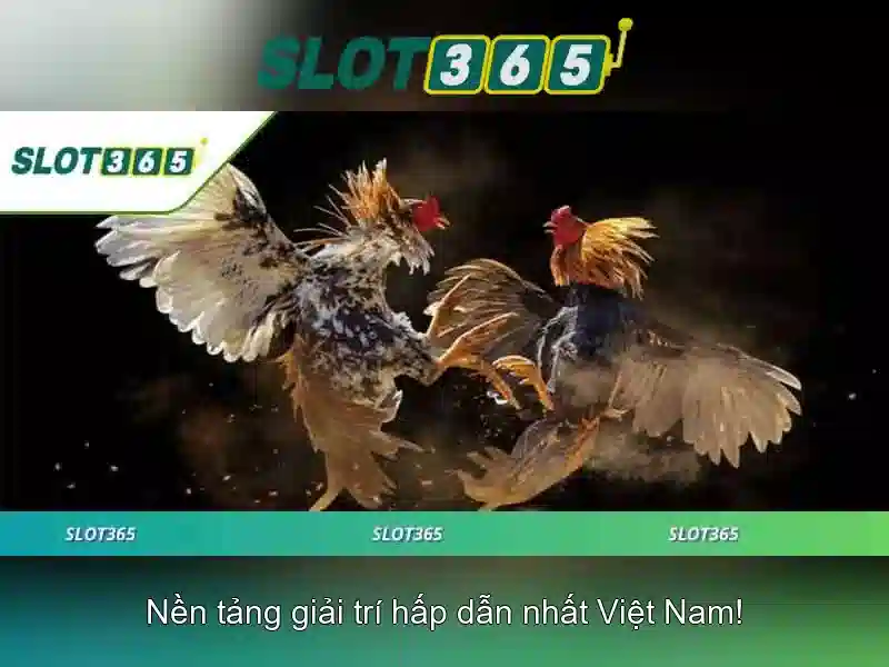 Slot365 - Tổng quan và trải nghiệm chơi slot trực tuyến