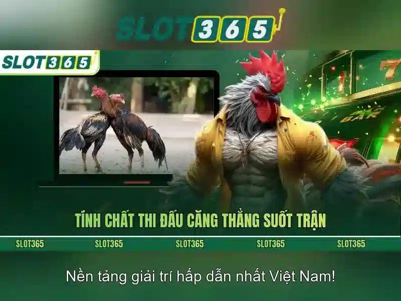Slot365: Trải nghiệm casino trực tuyến nổi bật
