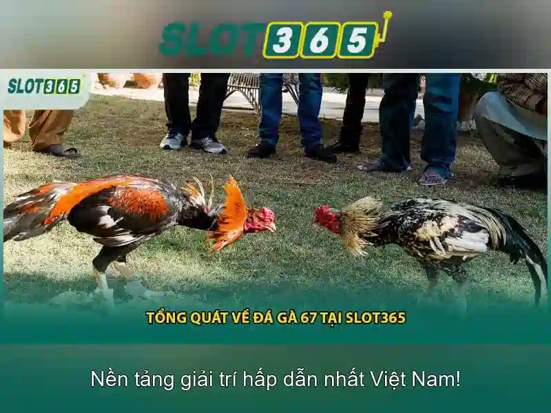 Các tính năng nổi bật Các tính năng nổi bật