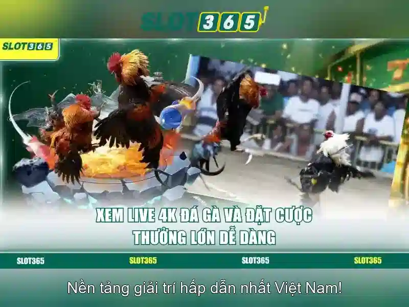 Danh-muc-va-thanh-toan