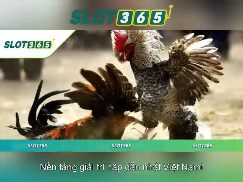 Giao-dien-slot365