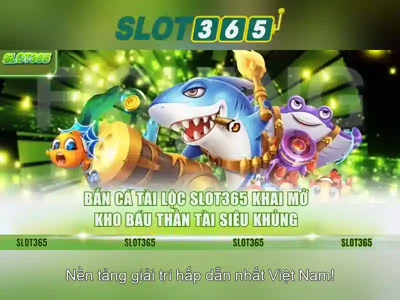 Kết luận và lưu ý