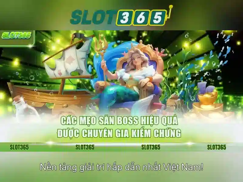 Slot365 là gì? Slot365 là gì?