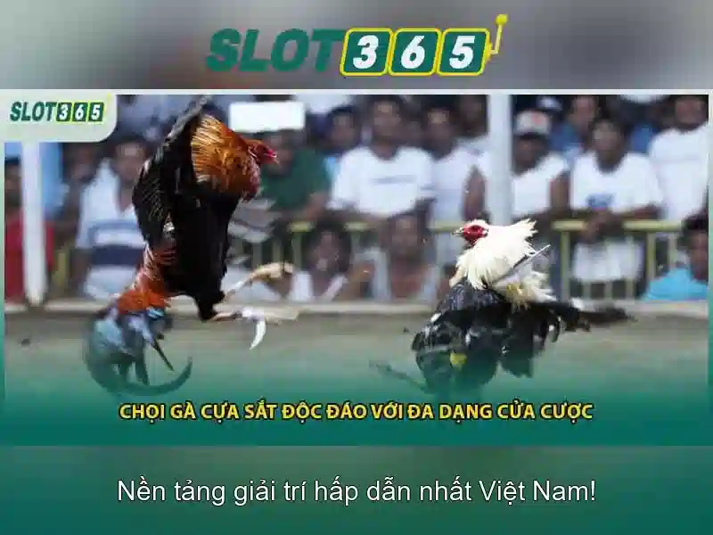 Khuyến mãi và chương trình thưởng