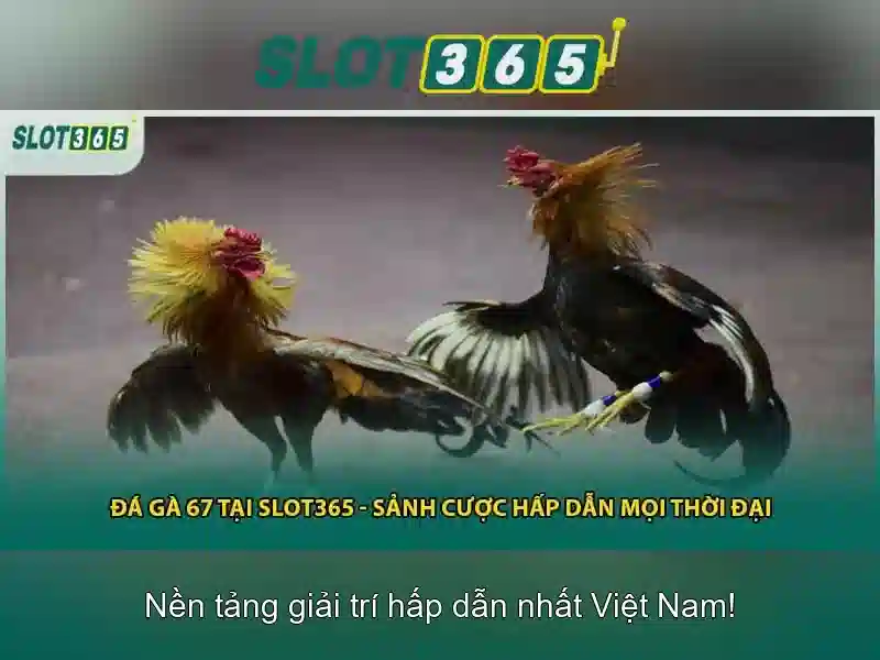 Thư viện trò chơi và khả năng thắng lớn Thư viện trò chơi và khả năng thắng lớn
