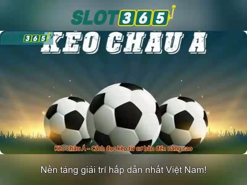 Slot365: Đánh giá tổng quan và hướng dẫn chơi slot trực tuyến