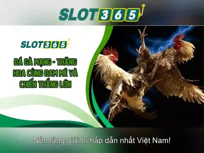 Khuyến mãi và thưởng Khuyến mãi và thưởng
