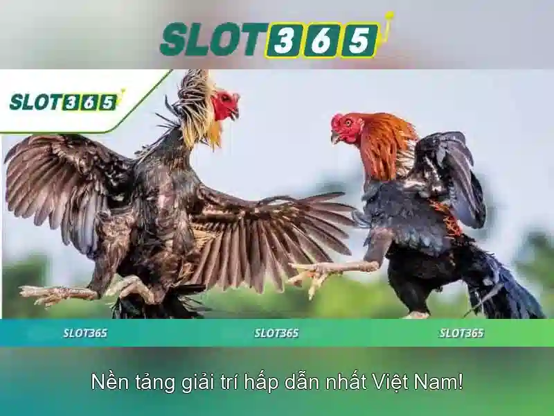 Slot365: Tổng quan về nền tảng chơi slot trực tuyến hiện đại