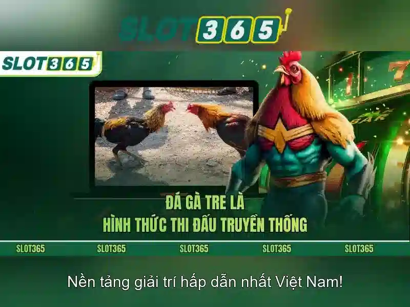 slot365 - Nền tảng trò chơi slots trực tuyến