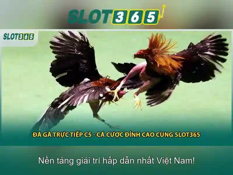 Trải nghiệm người dùng và bảo mật Trải nghiệm người dùng và bảo mật