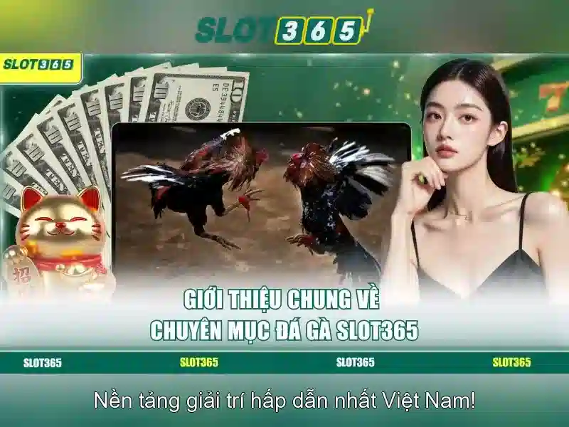 Slot365: Tổng quan và trải nghiệm chơi slot trực tuyến