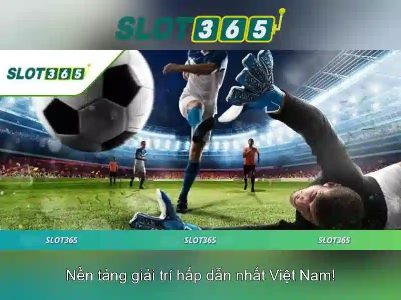 Slot365 là gì Slot365 là gì