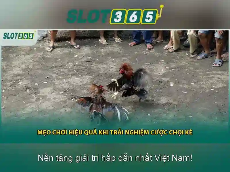Mẹo chơi bắn cá 3 cây dễ ăn tiền nhà cái