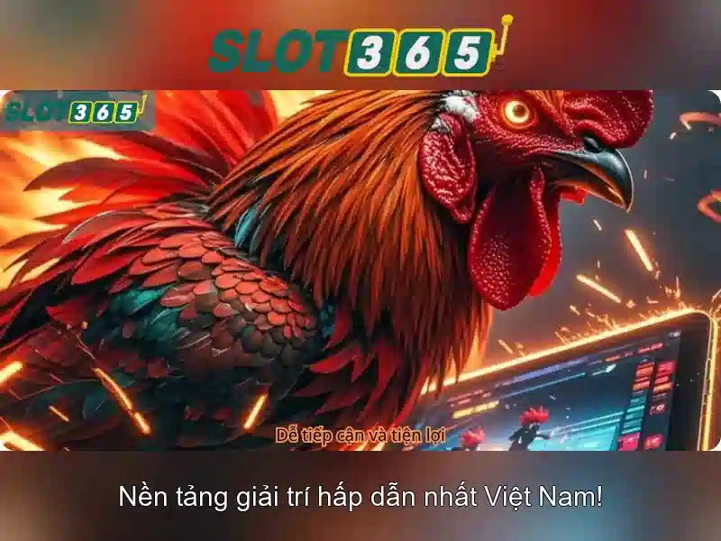 Slot365 là gì?