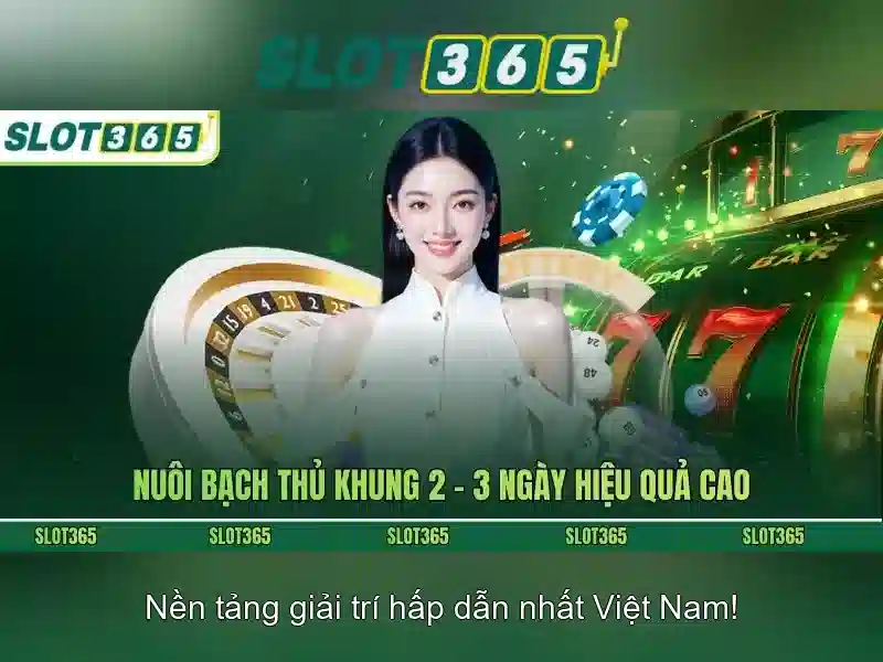 Hướng dẫn đăng ký và khuyến mãi Hướng dẫn đăng ký và khuyến mãi