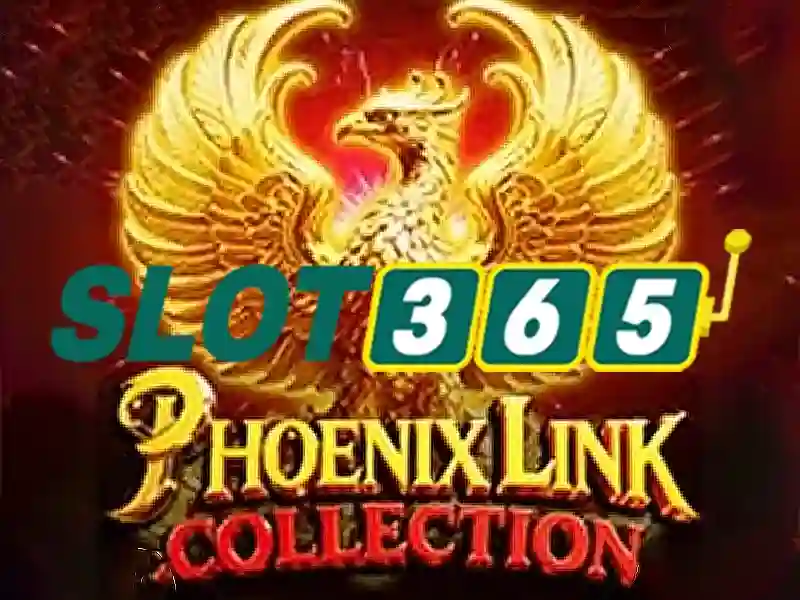 Slot365 là gì? Slot365 là gì?